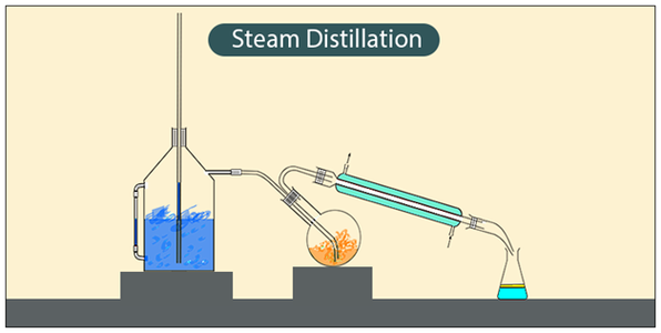 3Steam-Distillation 3Steam-Distillation