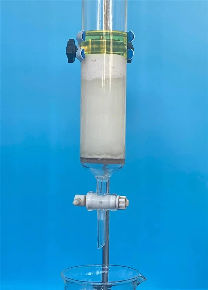 Hydrophobic Column Chromatography