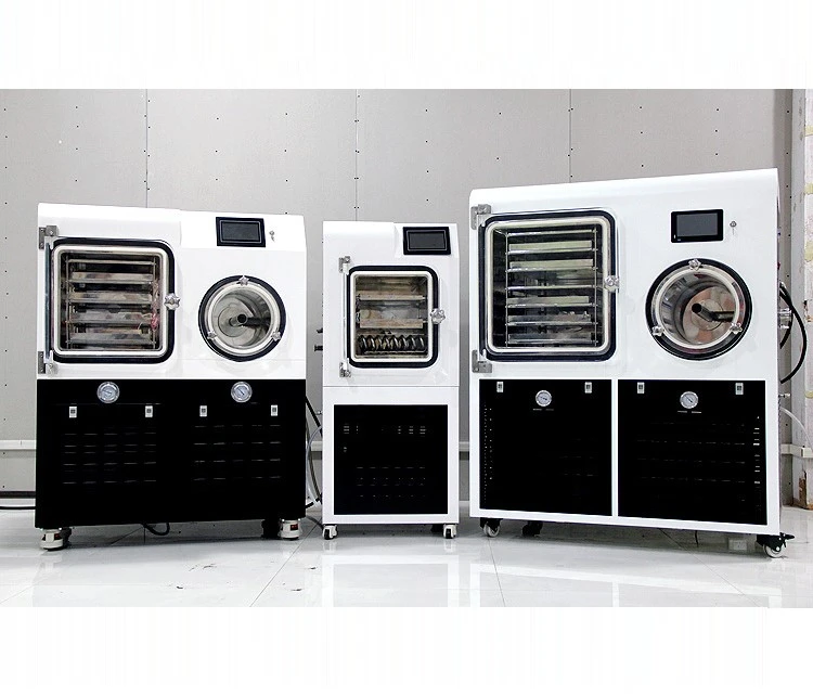 vacuum freeze dryer | Shaanxi achieve chem vacuum freeze dryer | Shaanxi achieve chem