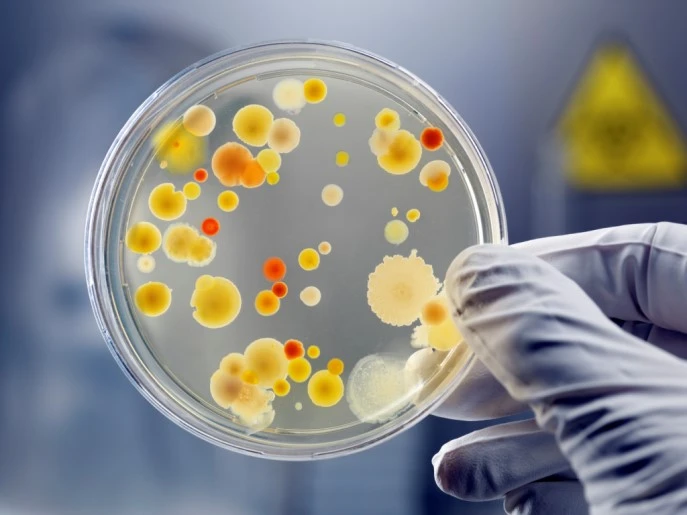 Heating Erlenmeyer Flask Bacterial Culture | Shaanxi Achieve chem-tech Heating Erlenmeyer Flask Bacterial Culture | Shaanxi Achieve chem-tech